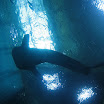 me and B trip to boston and ga aquarium 132.JPG