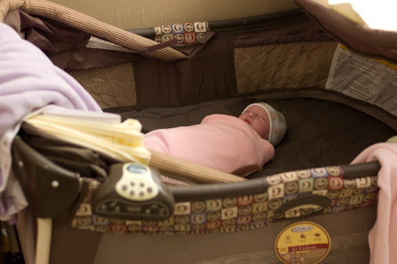 Sam in the pack-n-play. She's gotten a lot of sleep there... which means we've been able to get some stuff done.