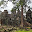 Cambodge- Angkor