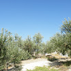 Kreta-09-2012-025.JPG