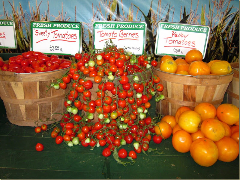 lester tomato berries