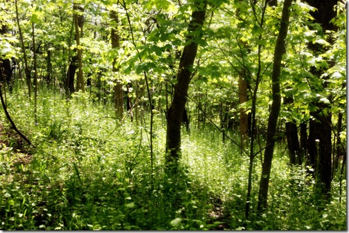 IMG_6846 IMG_6846