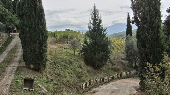 IMG_7748 IMG_7748