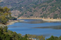 DSC_7502.jpg
