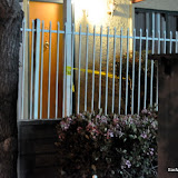 A shooting has occured in the 2400 block of Marconi, in the same apartment complex where a homicide took place just a few months ago. Unofical reports are that one victim was shot several times and transported to the hospital via paramedics in unknown condition. News_110415_Shooting_Marconi