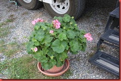 IMG_6806 IMG_6806