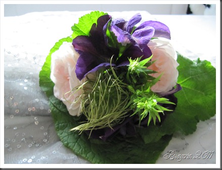 IMG_2164 IMG_2164
