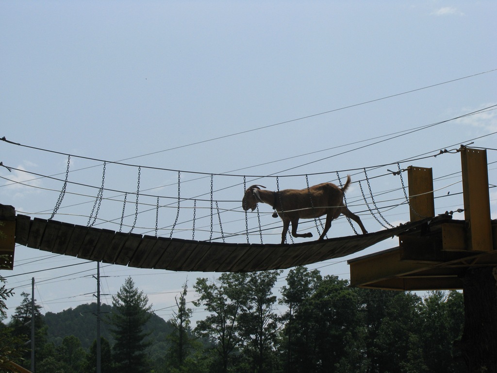 [IMG_8482%255B4%255D.jpg]