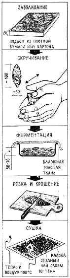 [clip_image008%255B5%255D.jpg]