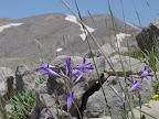p1269762887(9).jpg