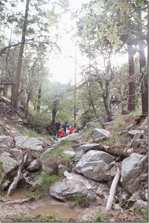 bear pics mt lemmon clay priesthood 159