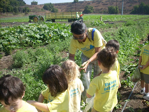 Ms. Evelyn is helping with the cilantro!