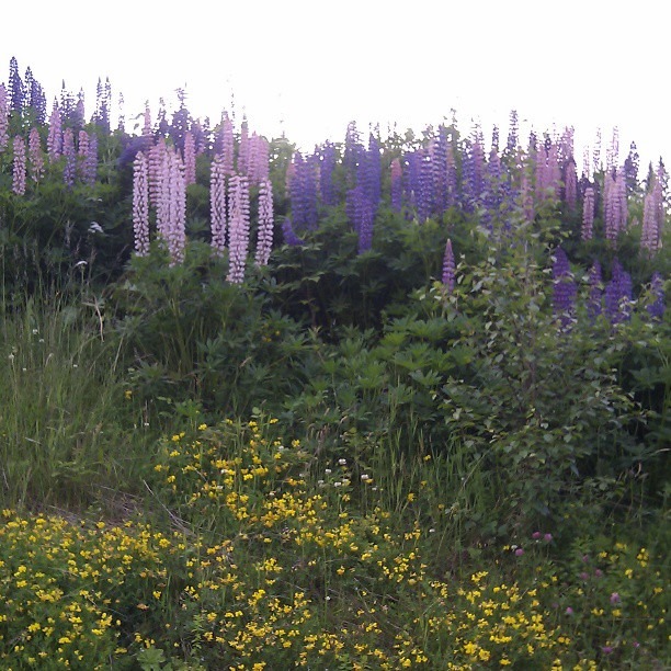 [15fce46ce0fa11e28db822000a1f9720_7%255B4%255D.jpg]