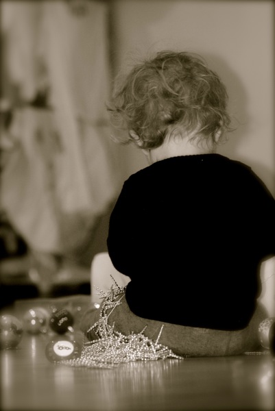 DSC_0042.jpg DSC 0042