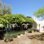 DSC00983.JPG