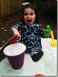 Laney sandbox