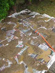 IMG_2533 IMG_2533