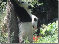 IMG_2552 IMG_2552