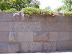 Washington Bus Tour 2011
