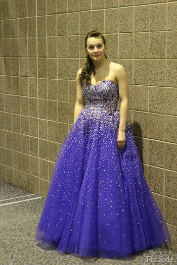 the prom dress