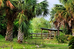 Matagorda Birding Center 201311