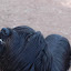DSC_8646.JPG