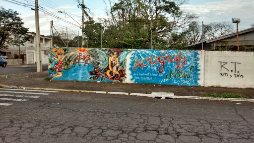 Arte No Muro - Fadas Da Paz
