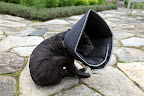 I've learned how to drink water, eat, and sleep with the cone on, but I run into trouble when it comes to scratching myself.  I want to scratch, but the darn thing just gets in the way!
