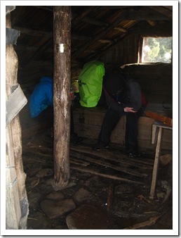 IMG_9233 IMG_9233