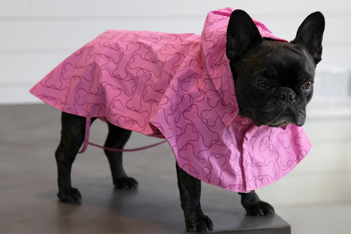Wait, Sharkey!  Did you see these new raincoats with the bone pattern?  They are certainly made for adventuring!