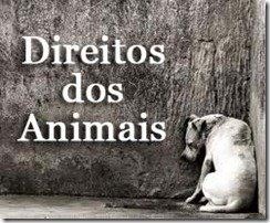 [ANIMAIS%255B3%255D.jpg]