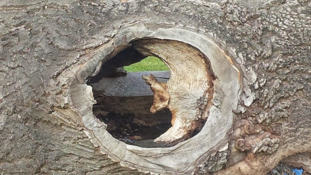 [IMG_20140922_115733%255B2%255D.jpg]