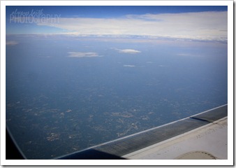 IMG_0431web IMG_0431web