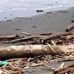 pic21.jpg