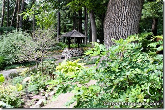St Cloud Gardens-25