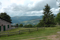ALSF1-11_MW_90008.JPG
