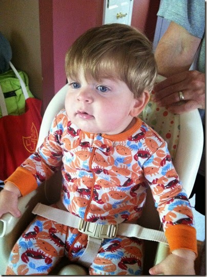 IMG_5946 IMG_5946