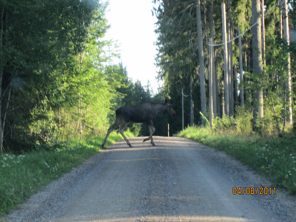 [IMG_1720%255B4%255D.jpg]