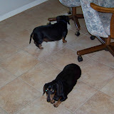 Texas 2008