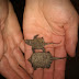 Miniturtle