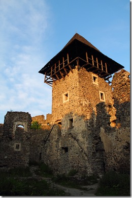 Замок у Невицькому