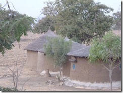P1010785