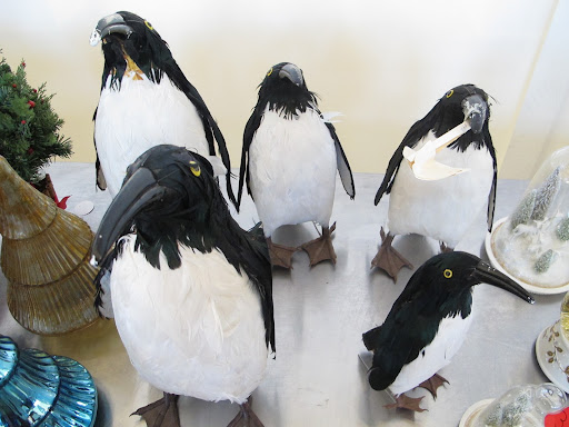 I liked this selection of penguin figurines.