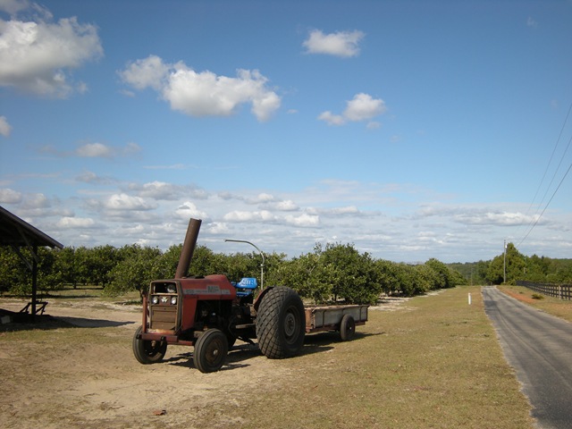 [DSCN9702%255B3%255D.jpg]
