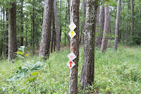 Tally's Trail Photo Tally's Trail Photo