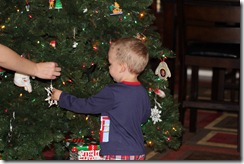 IMG_8004 IMG_8004