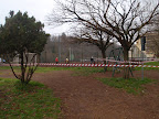 P2050020.JPG