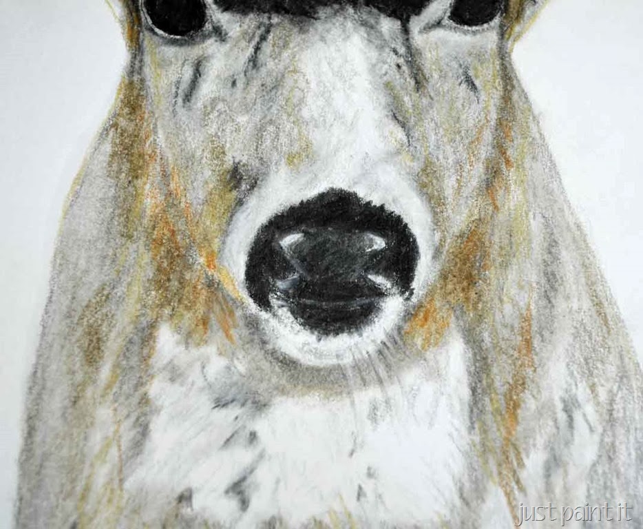 [Deerhead-Sketch-F%255B3%255D.jpg]