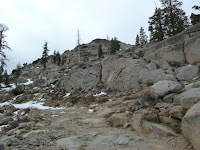 P1000626.JPG