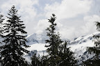 DSC_0806.JPG